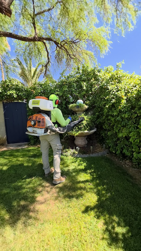 Mosquito Squad of Tucson project